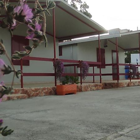 Villaggio Albergo Cervo Zapponeta Bagian luar foto