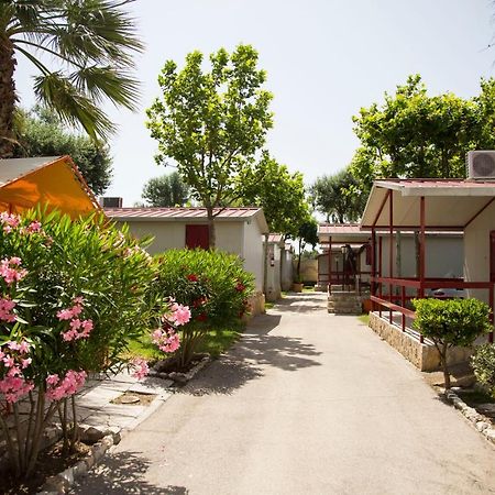 Villaggio Albergo Cervo Zapponeta Bagian luar foto