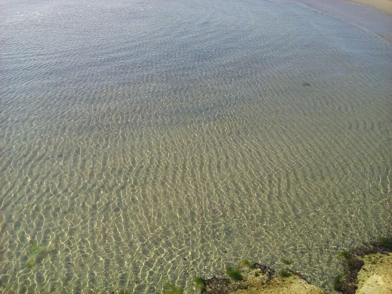 Villaggio Albergo Cervo Zapponeta Bagian luar foto