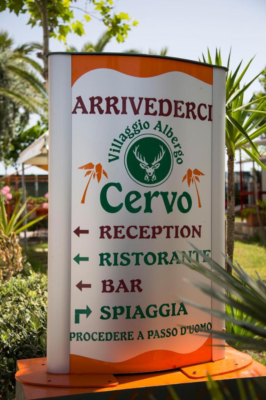 Villaggio Albergo Cervo Zapponeta Bagian luar foto
